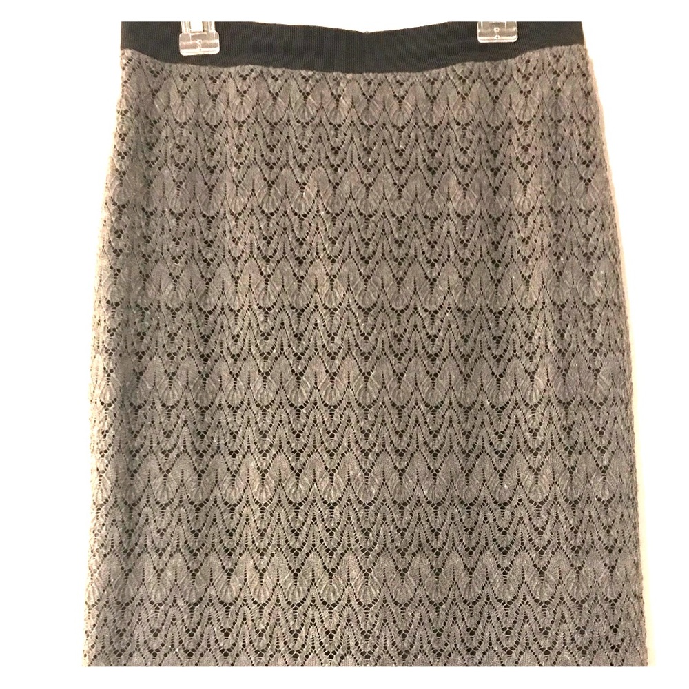 Ann Taylor Skirt